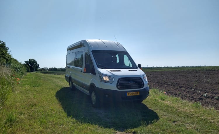 Campervan for family!