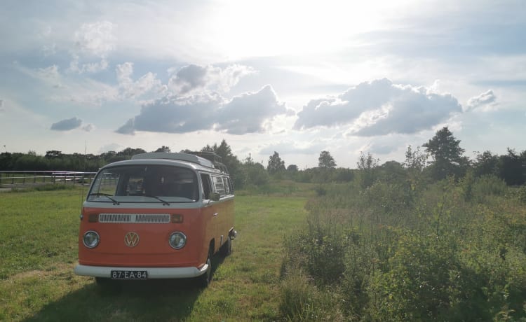 Maxima – Even terug in de tijd met een Volkswagen T2 - Compleet gerestaureerd!