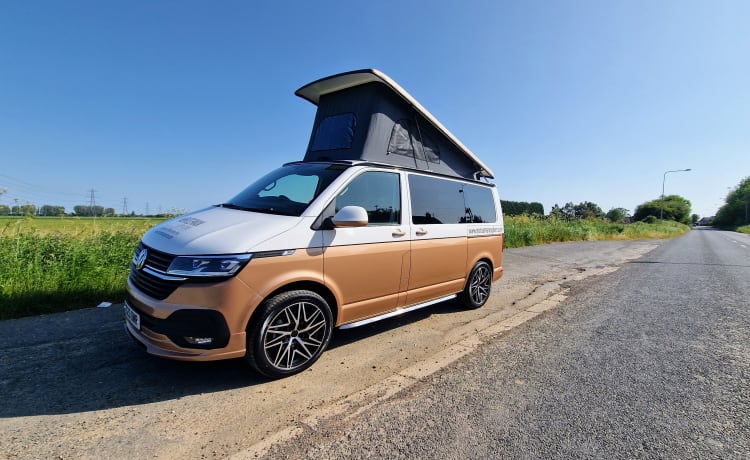 VW Campervan (White/Copper Bronze) – Camping-car VW (2023) 4/6 couchages