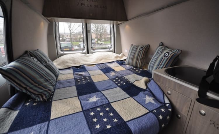 Type 3 – Unique trendy compact bus camper