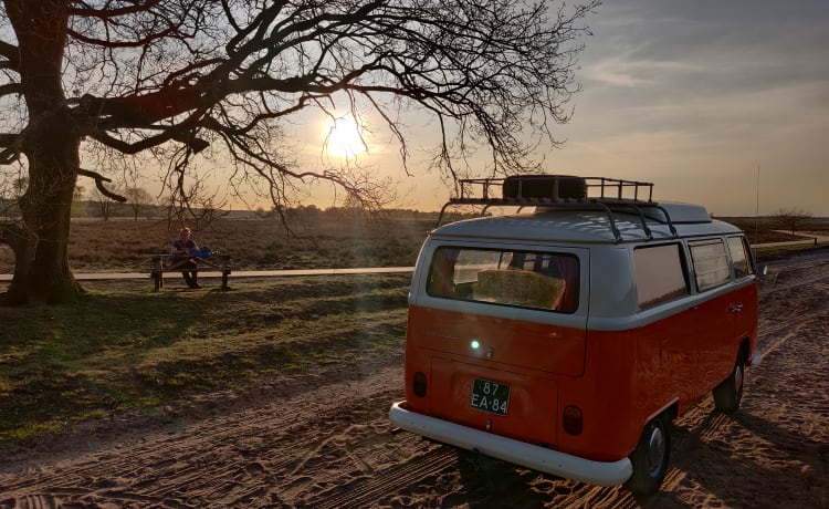 Maxima – Even terug in de tijd met een Volkswagen T2 - Compleet gerestaureerd!