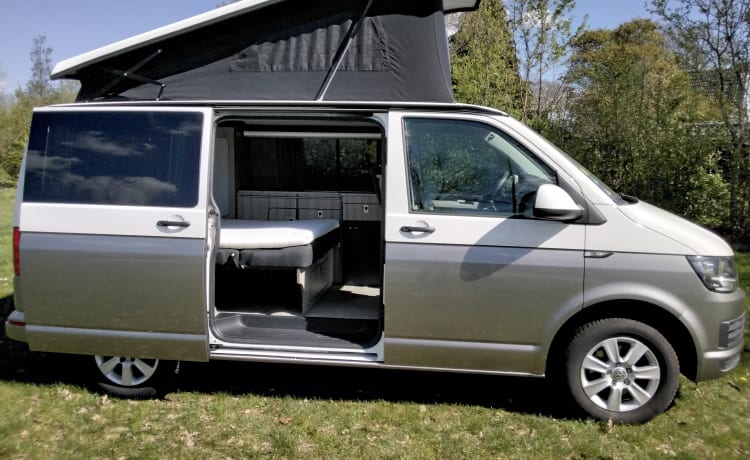 Onze trots – 2p VW Transporter T6 buscamper 2016 met splinternieuwe camperinrichting  