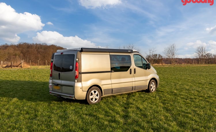 Roza – 4p Renault Camperbus uit 2011 - geschikt voor vrijwel elk avontuur!