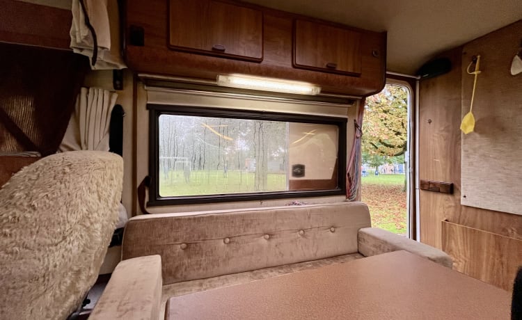 Bruine Beer – Hymer, Brown Bear from 1985 in top condition