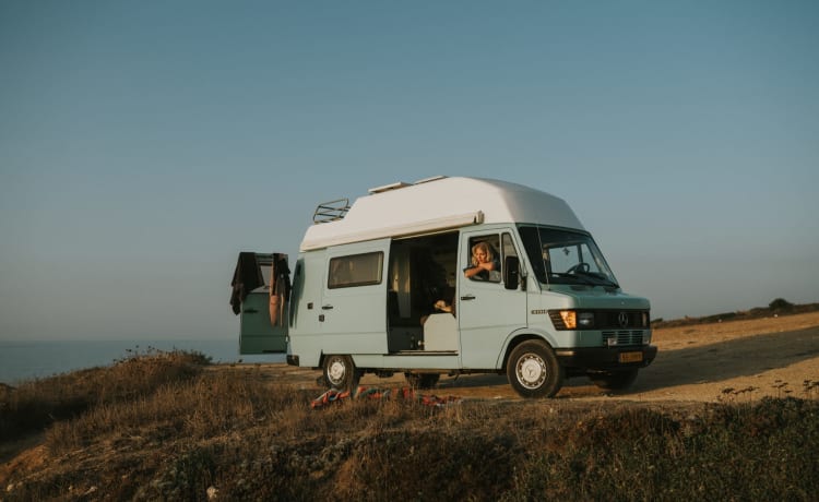 Ms. Paddy – Camper vintage Mercedes Westfalia 🚌 🏄‍♂️ ⛱ con attrezzatura completa