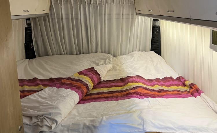 Fiat Camperbus met heerlijk ruim 2 persoons bed