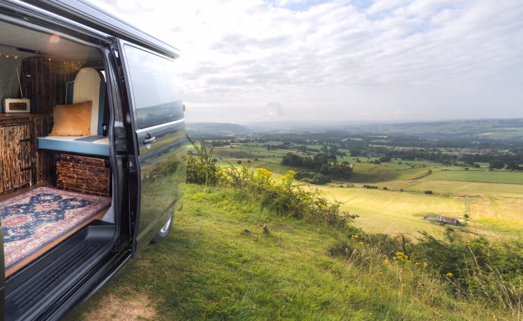 Ringo – VW Transporter -  Poptop Campervan