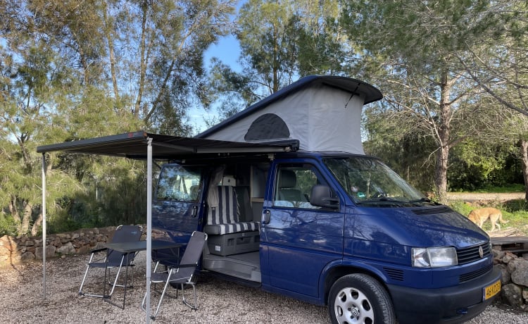 Marty – Volkswagen Transporter California (T4 2,5 Liter 102 PS) 