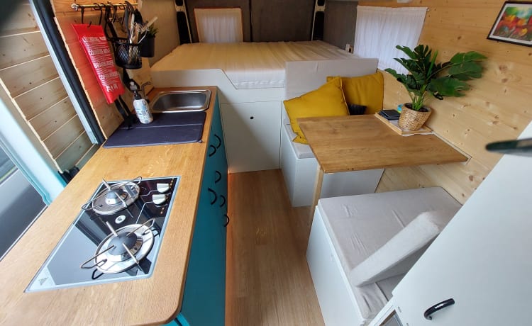 Boomer – 2p Fiat campervan from 2013