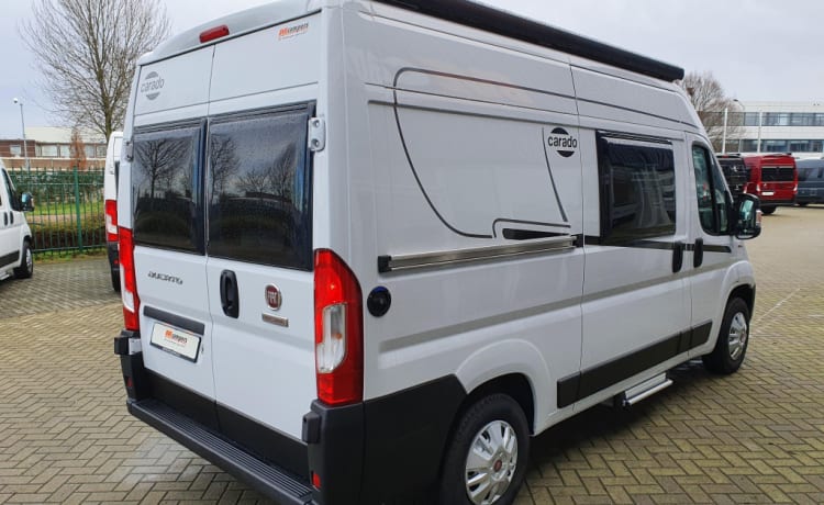 De camperbus  – New, luxurious, fully equipped camper with solar panel