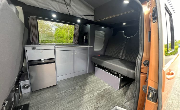 VW Campervan for Hire - London