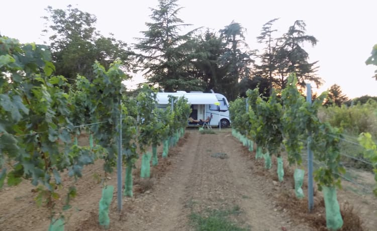 Camping-car très spacieux