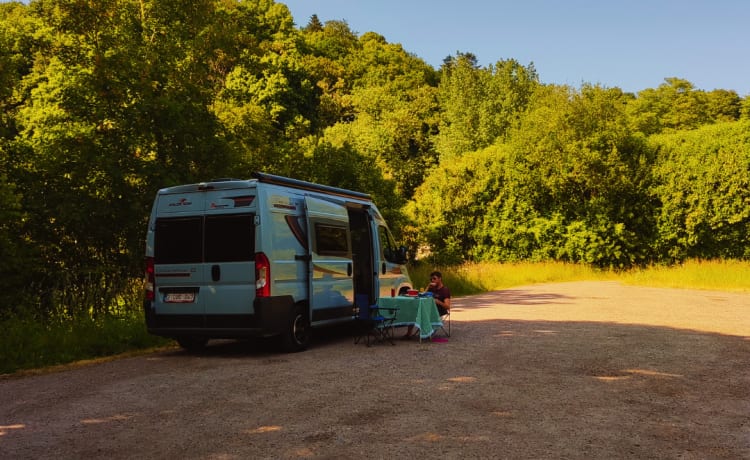 Wiewuiten – 2er Roller Team Bus von 2017 (4 Sitze)