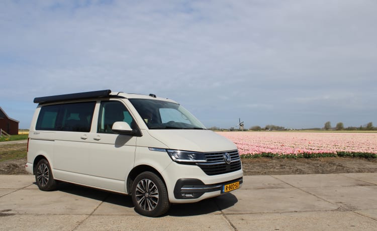 4p Volkswagen campervan from 2021