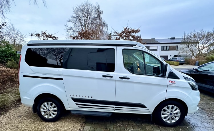 Camper (da 2 a 4 posti) con portabiciclette (Ford Transit Bürstner Copa 500) 