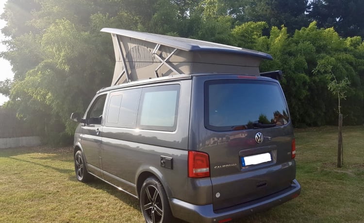 Calif – LIEFERWAGEN VW Kalifornien