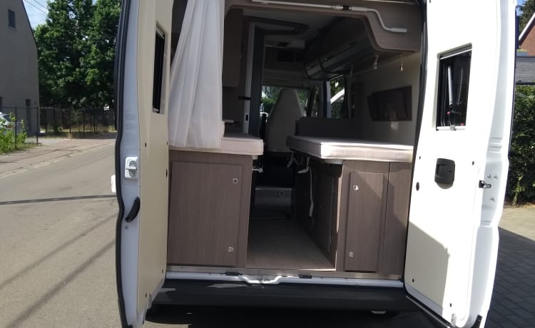 CHAUSSON V597CS esclusivo