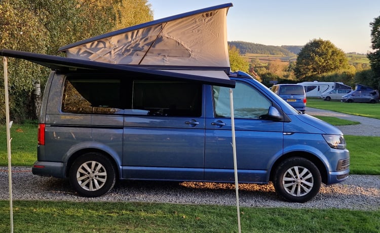 Callie – Volkswagen Wohnmobil mit 4 Schlafplätzen aus dem Jahr 2018