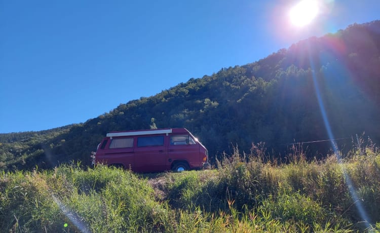 Red GrandDad! – Grand-père rouge - Retro 4p Volkswagen Bus Camper de 1991