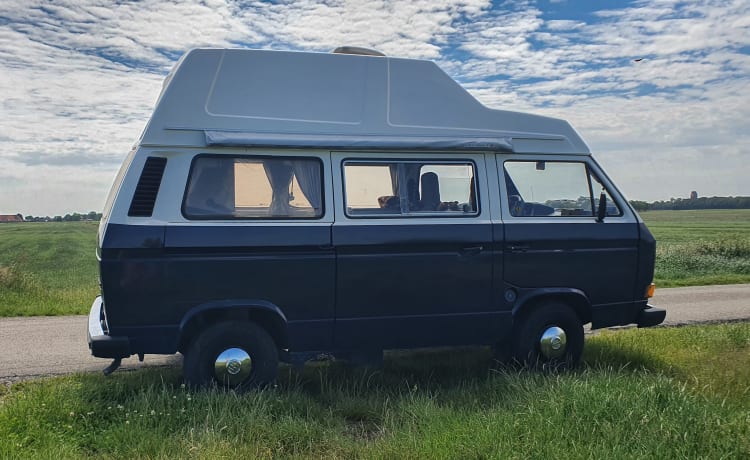 Rusty – Volkswagen T3 Westfalia (automatique), Rétro