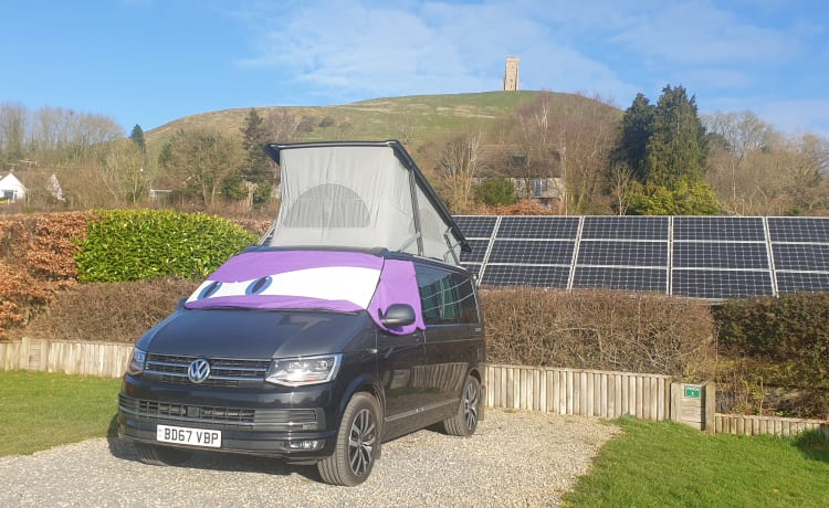 Billy – 4 berth Volkswagen California Ocean 2017