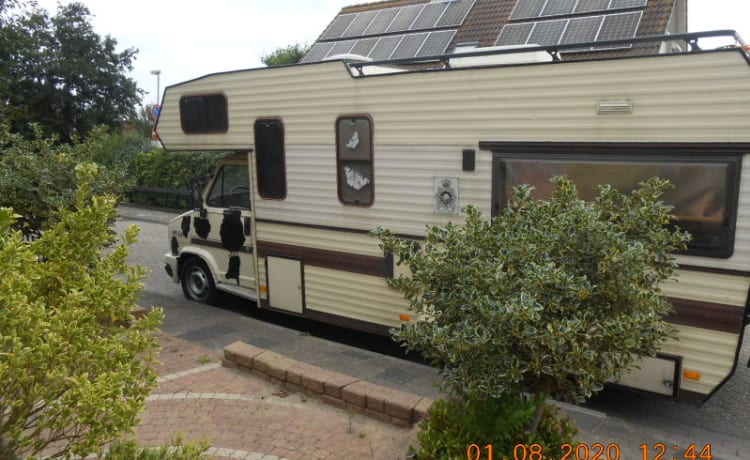 koetje – is a great family camper for 5-6 people and 2 m headroom