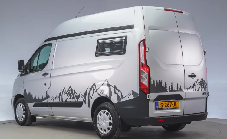 2p Ford bus uit 2018