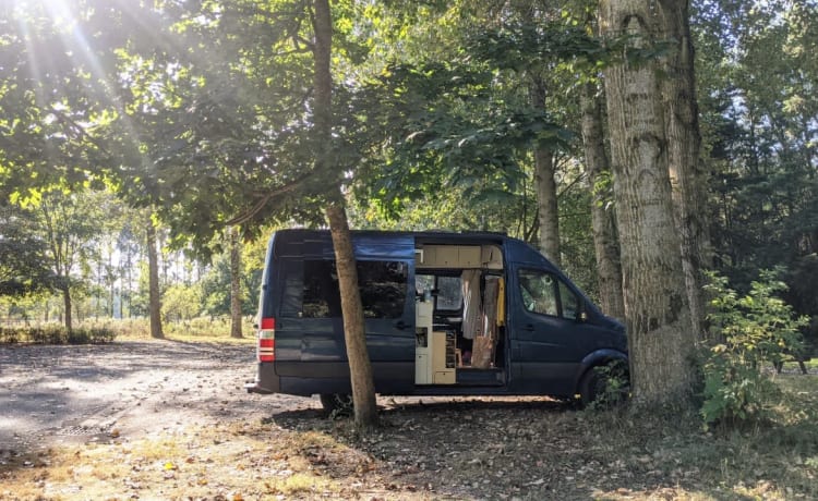 Blue – Sprinter with lifting bed and terrace