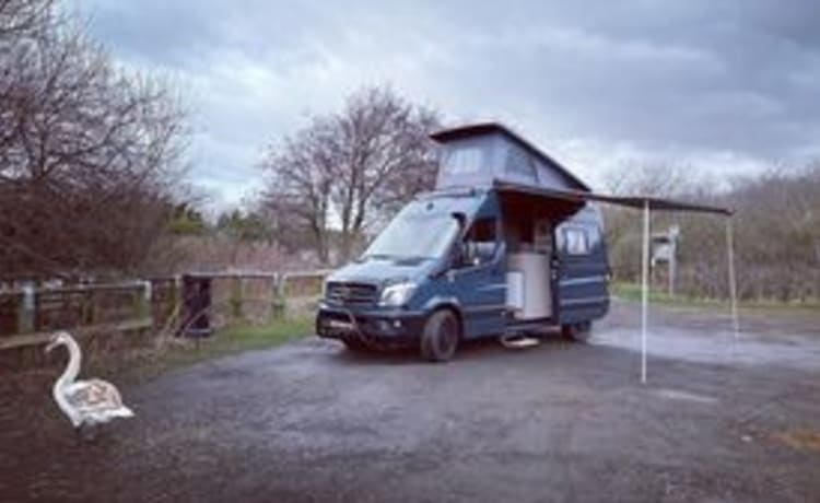 Skippy – 4 berth Mercedes-Benz Sprinter bus from 2015