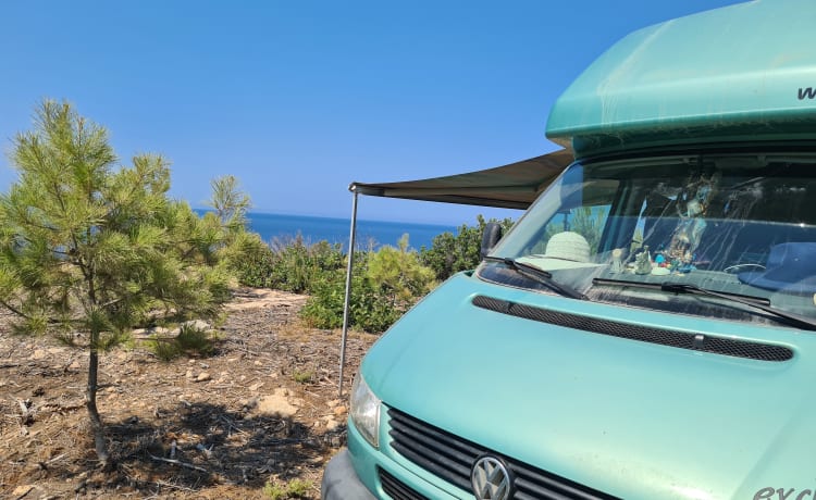 Flow  – Camper Volkswagen California compresa di assicurazione