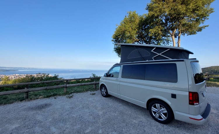 Adventure_van_rent – VW California T6.1 Beach