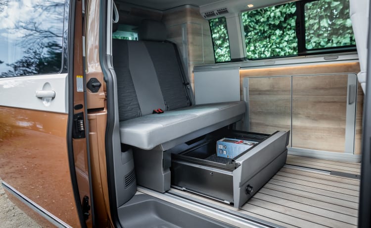 Dutch Nomad Van  – NOUVEAU! VW California Ocean 6.1 complet et luxueusement équipé.