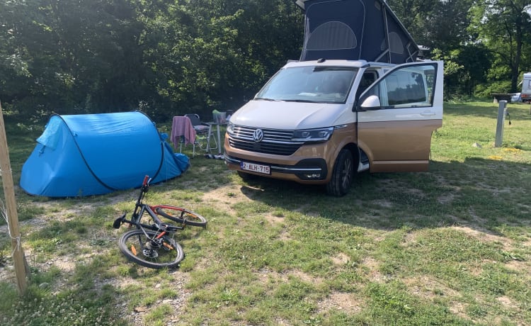 VW California automaat , full option , 2021 met surfplankhouder