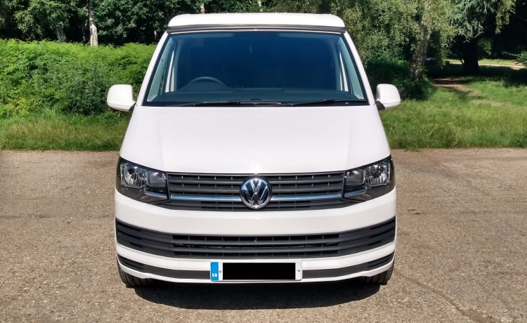 Luna – Camper VW T6 4/5 Nascita!