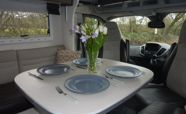 Ernie – Ford Chausson Welcome 768 Premium