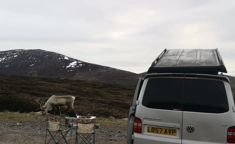 Dolly – Volkswagen Bus mit 4 Schlafplätzen aus dem Jahr 2007