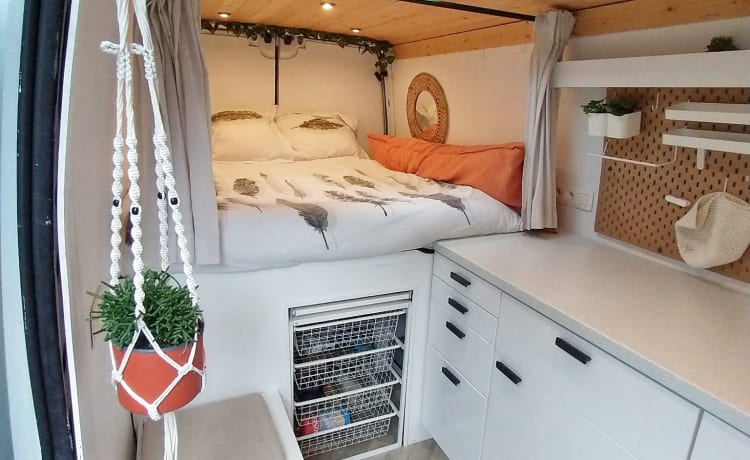 Deswadventure – Luxuriöser und komfortabler Campervan zur Miete in Gent