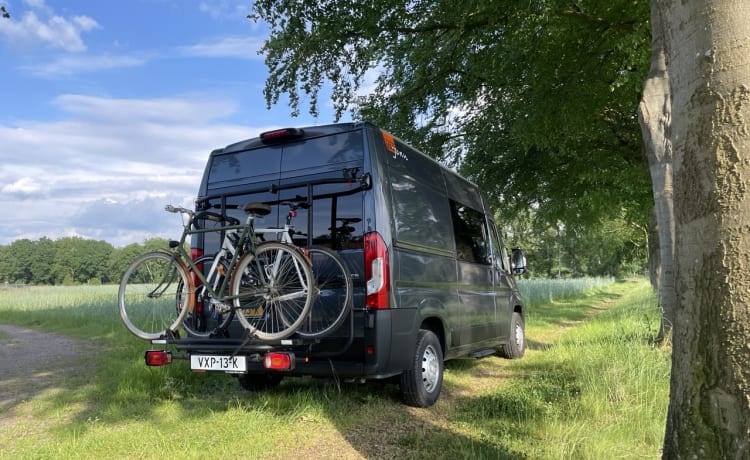 Roze Roadtripper – Compacte modulaire buscamper voor 2 personen 