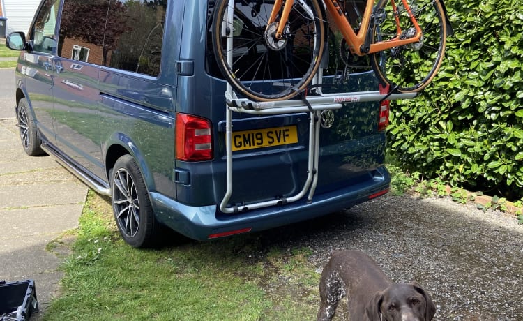 Bluey the Transporter Heeler – VW T6 Petrolblau, 4-Bett