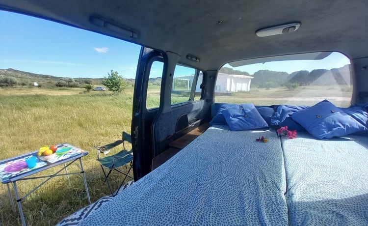 VANTASTIK RENTAL CAMPERVAN – MINIVAN - TINO