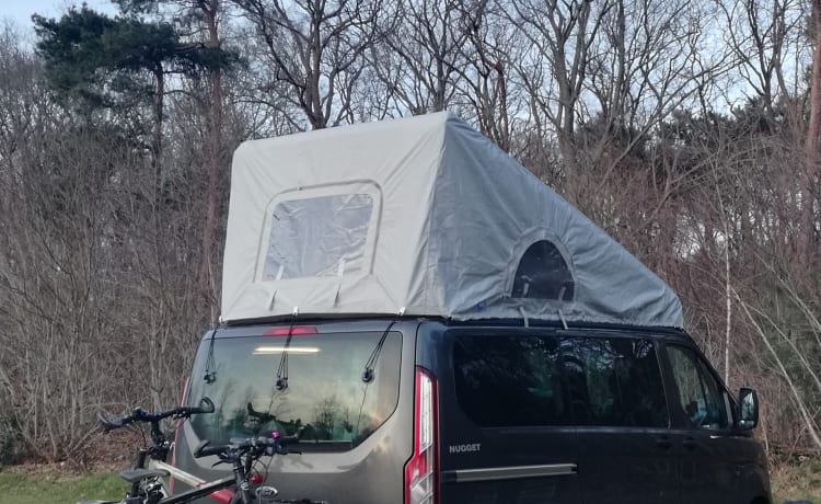 Henry's Ford – nice bus camper Ford Nugget (4-5 pers), possibly. with bus tent and bicycle carrier!