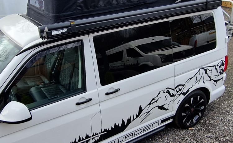 Star VW T6 – Starlight VW t6 camper