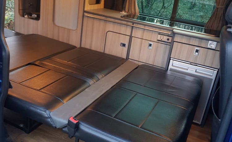 t5 buscamper – Beautiful, cozy T5 bus camper with original Reimo camper furnishings. 