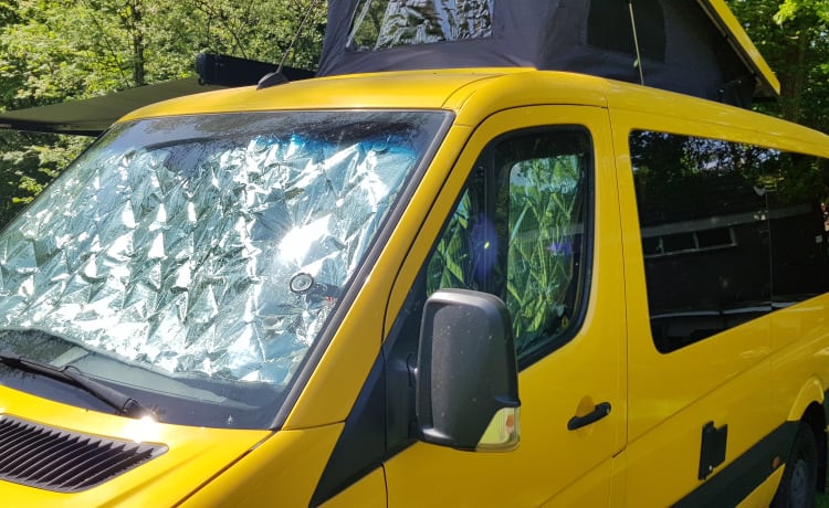 Autobus per persone alte, il nostro Yello Submarine