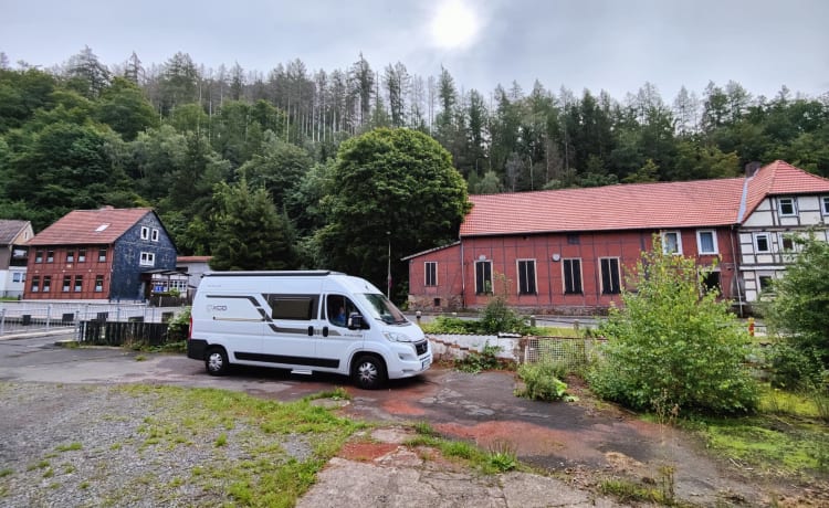 Berlin – The compact panel van with 4 sleeping places