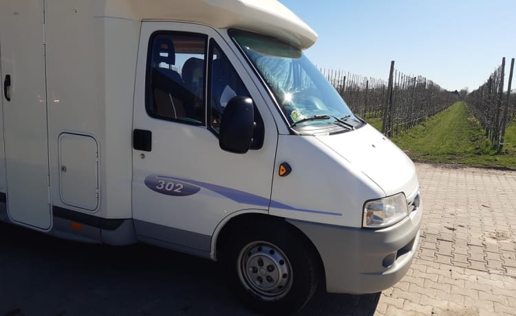 RENTACAMPA – CAMPER 2 POSTI LETTO COMPLETAMENTE AUTO CONTENUTI CON WC E  DOCCIA da 91 £ al giorno - Goboony