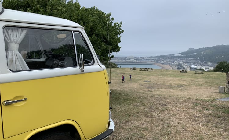 Daffy – Klassischer VW Typ 2 Campervan