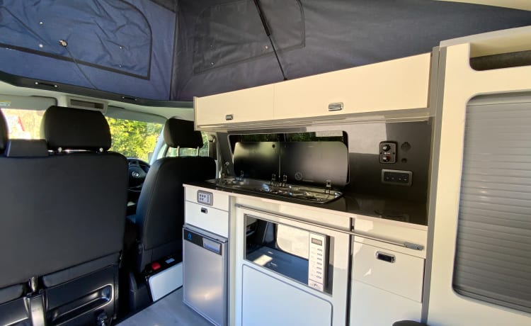 Une fourgonnette avec vue - Conversion VW T6 2019