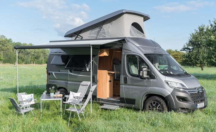 Pumba – Pössl 2 Win Plus 2021 - pop-up roof - 4 sleeping places