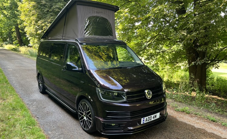 ADDAM – 4 berth Volkswagen bus from 2016